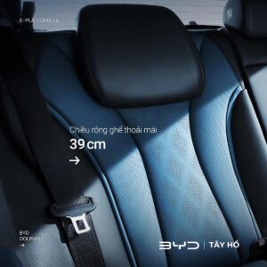 NỘI THẤT BYD DOLPHIN