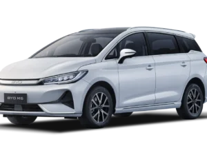 BYD M6