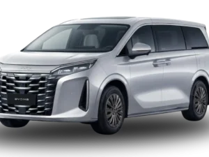 BYD M9